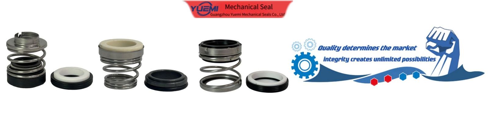 Ebara Mechanical Seal