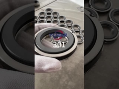 301 Niêm phong cơ khí đơn xuân (( Thay thế Aesseal B01, Bt-Ar, Flowserve 118, Mut Fa cho Cyclan B01