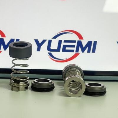 CH 2-20/30 12mm cho bơm Grundfos Aqqe Bơm Cr niêm phong cơ học